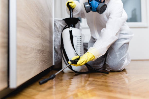 Best Pest Removal Services  in Hammonton, NJ
