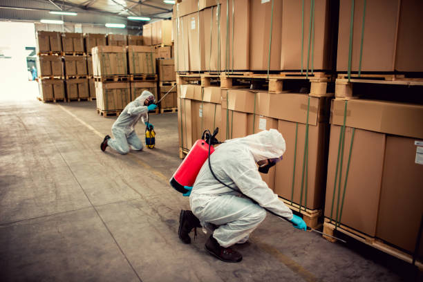 Best Pest Control for Businesses  in Hammonton, NJ
