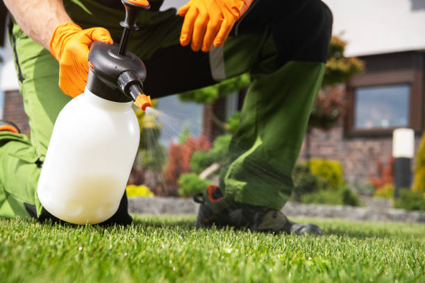 Best Wildlife Control Services  in Hammonton, NJ