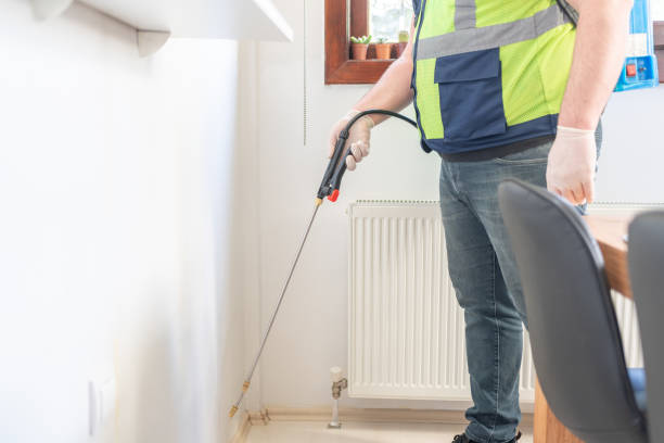 Best Mosquito Control Services  in Hammonton, NJ