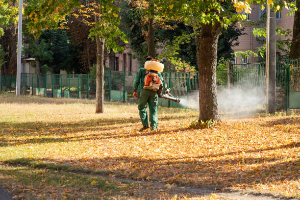 Trusted Hammonton, NJ Pest Control Experts