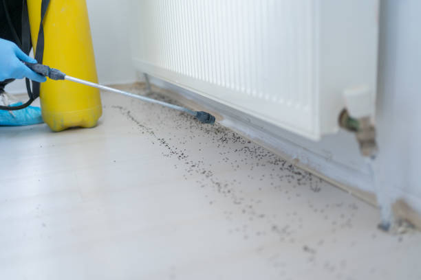 Best Pest Prevention Services  in Hammonton, NJ