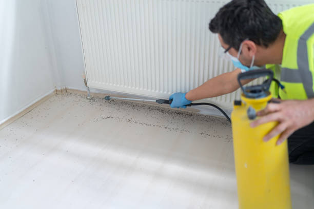Best Emergency Pest Control  in Hammonton, NJ
