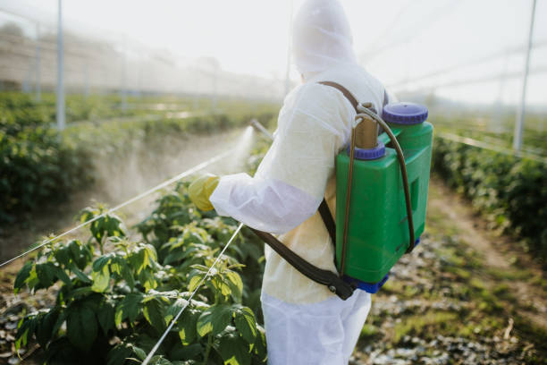 Best Insect Control  in Hammonton, NJ